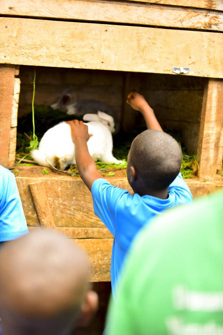 I² Foundation - Environmental Protection