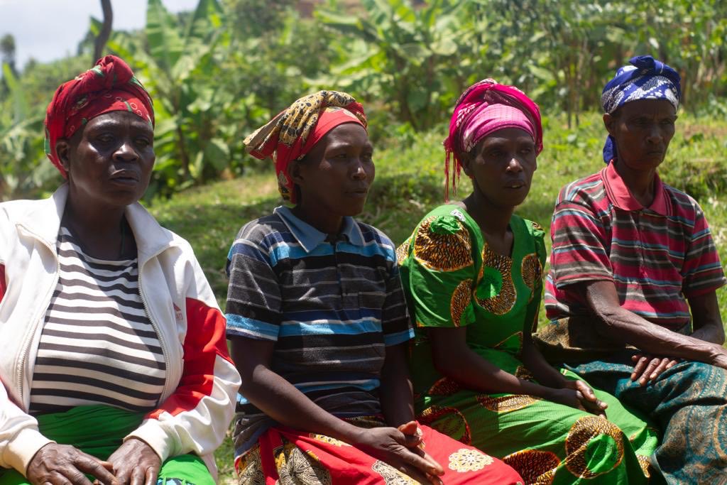 I² Foundation - Mentorship